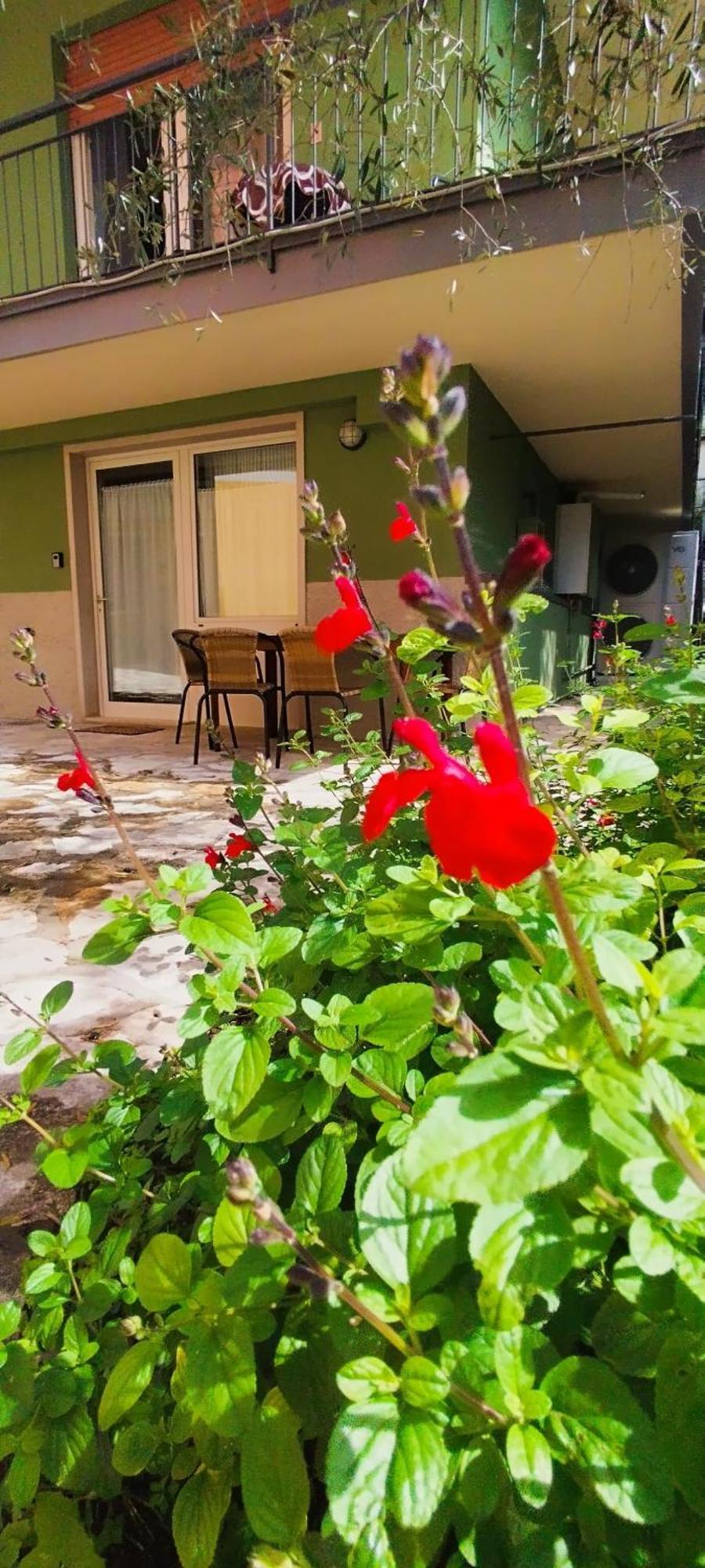 מאלצ'סינה The Green House מראה חיצוני תמונה